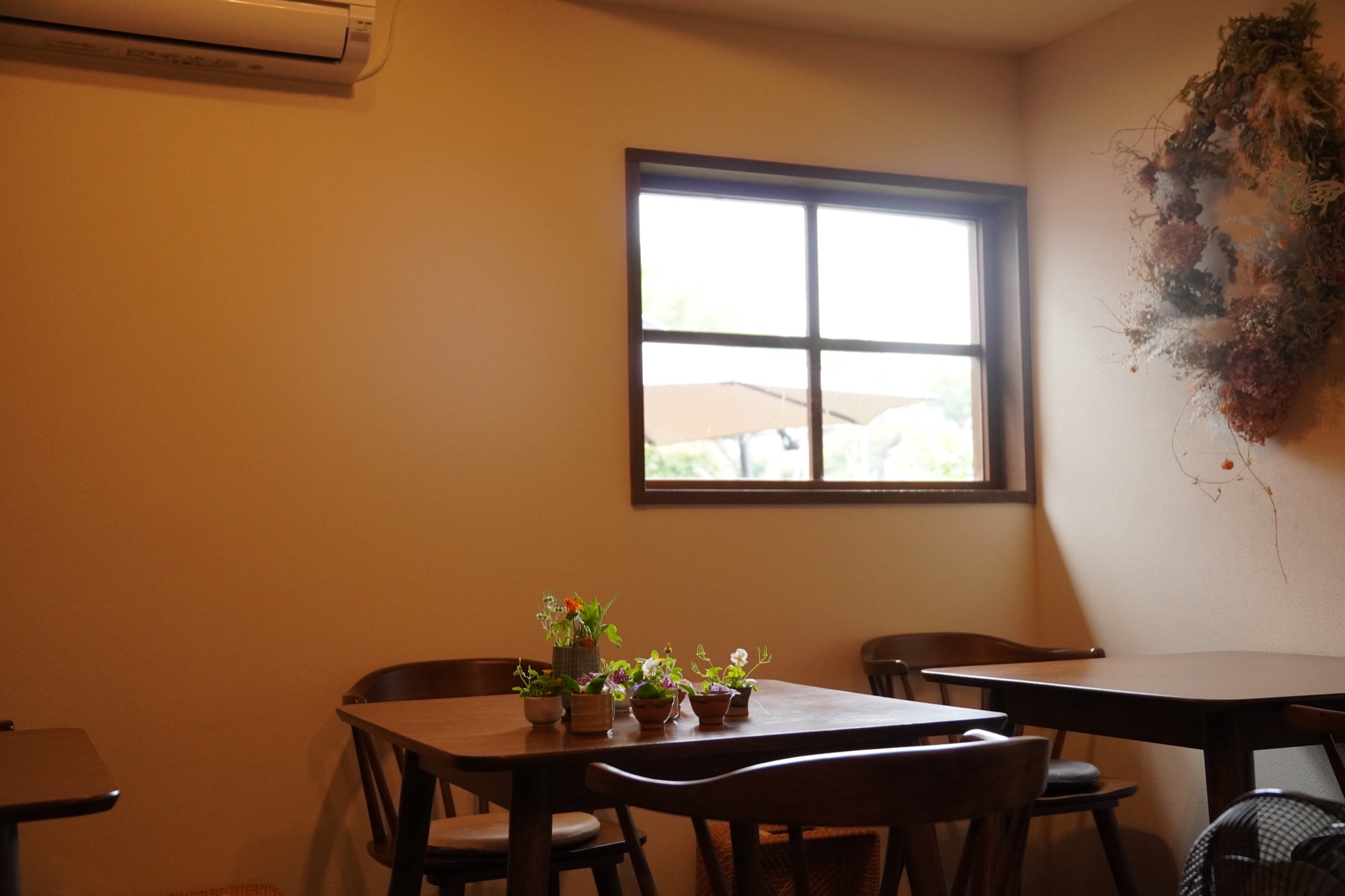 自然光が入る月と小屋の客席